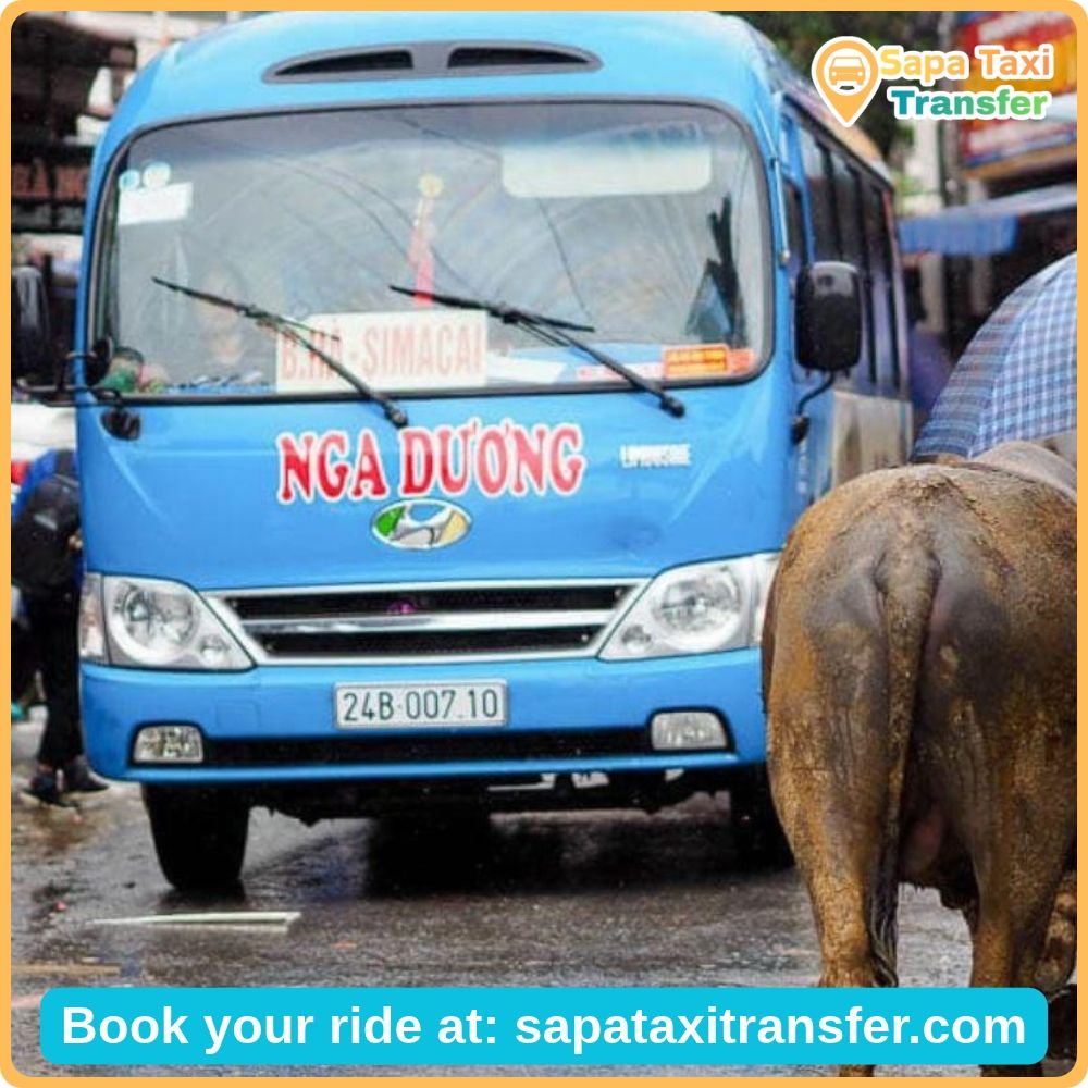 Transport Options to Bac Ha: Private Car, Taxi or Bus? 6 Local minibus used for passenger transport in northern Vietnam