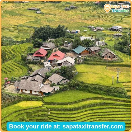 Sapa Travel Guide for First-Time Visitors 9 Ta Van Village and terraced rice fields in Muong Hoa Valley Sapa