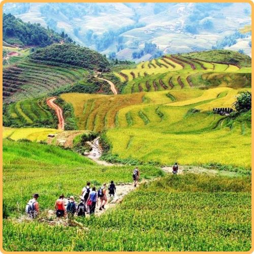 Tourist planning transportation for a Sapa holiday with a car and mountain views in Vietnam