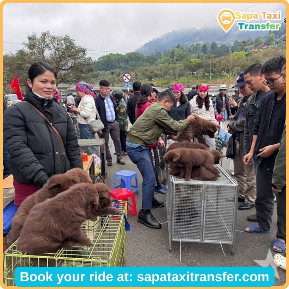2-Day Bac Ha Private Car Tour from Sapa: Villages, Homestay & Sunday Market 19 bac-ha-sunday-market-experience